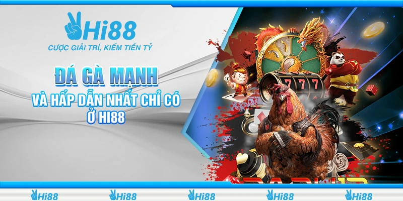 đá gà mạnh