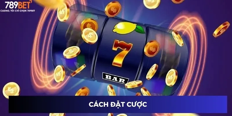 Cách đặt cược