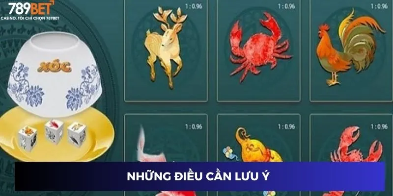 Những điều cần lưu ý
