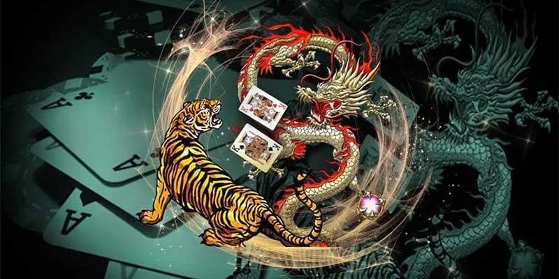Những lựa chọn cược phổ biến trong Rồng Hổ là gì?