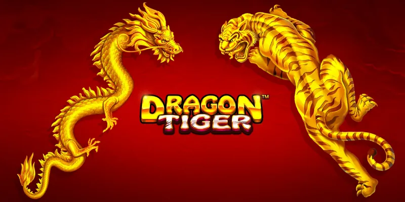 Luật chơi Rồng Hổ cơ bản gồm những gì?